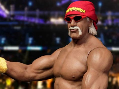 Hulk Hogan Net Worth Malaynifa