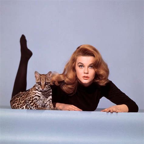 1964 ann margret with ocelot during the making of kitten with a whip 24x24 canvas chairish