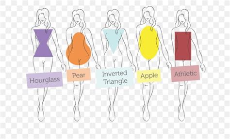 How To Find A Body Shape Calculator