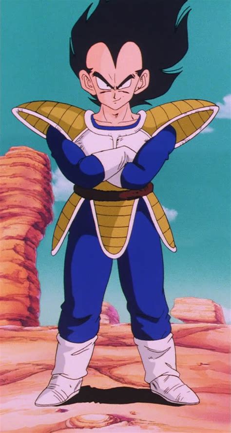 The franchise takes place in a fictional universe. Vegeta (Dragon Ball FighterZ)