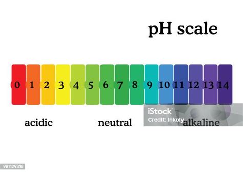 Ph Skala Diagramm Mit Entsprechenden Saure Oder Alkalische Werte