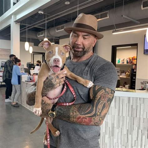 Dave Bautista Adopts Neglected Dog From Humane Society Of Tampa Bay