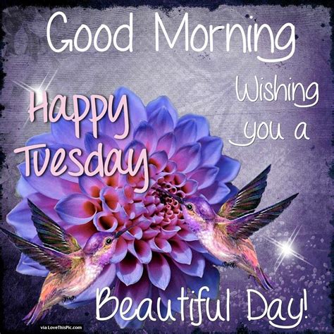 Good Morning Happy Tuesday Wishing You A Beautiful Day Beautiful Day