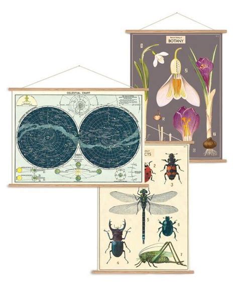 Horizontal Poster Hanging Kit by Cavallini | Etsy | Hanging posters