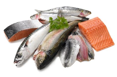 Make Your Meal Complete With Fresh Fish Zappfresh