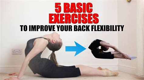 5 Basic Back Stretches To Improve Your Back Flexibility Newbieto Fitness