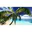 Hawaiian Paradise Stock Footage Video 985135  Shutterstock