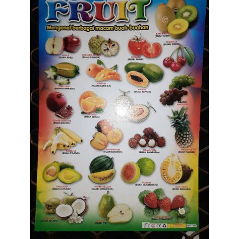 Poster Anak Edukasi Aneka Macam Buah Mengenal Fruit Gambar Buah Buahan