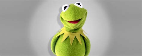Kermit The Frog The Muppets