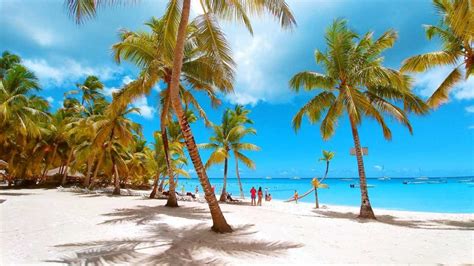 Isla Saona Excursion And Tours Best And No1 Rated Service