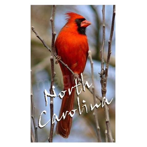 North Carolina State Bird Red Cardinal Souvenir Fridge Magnet
