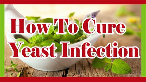 Yeast Infection Cure Yeast Infection In Men Yeast