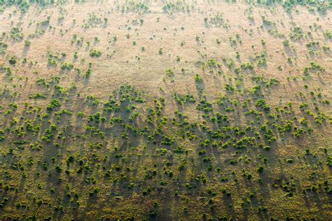 Africa La Grande Muraglia Verde Antideserto Sarà Lopera Del Secolo
