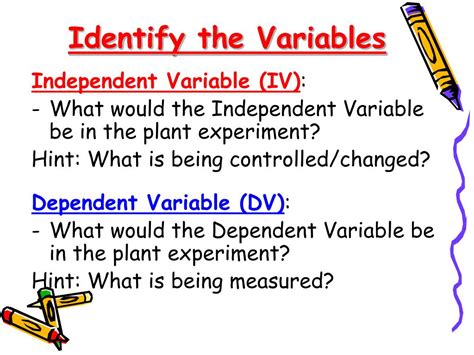 Ppt Variables Constants And Controls Powerpoint Presentation Free