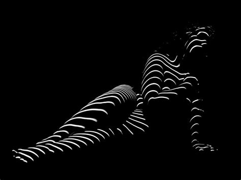 Tnd Zebra Woman Striped Woman Black And White Abstract Photo By
