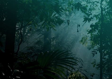 Amazon Night Jungle Jurassic Park World Rainforest