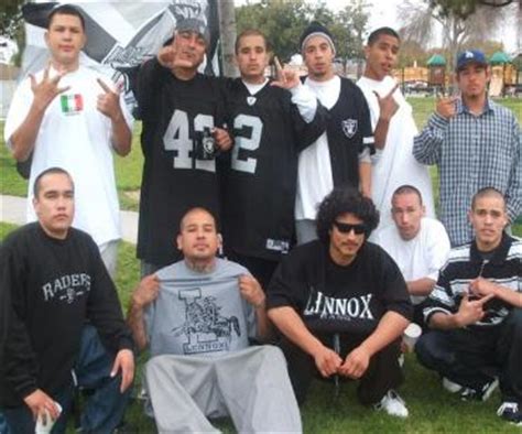 Although it is infamous for the ventura avenue gang, the biggest criminal organization in ventura. ICE-led probe leads to indictment of Northern California ...