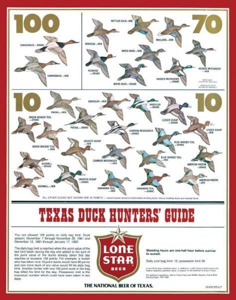 Duck Identification Chart Lone Star Beer Duck Hunters Y 4 B