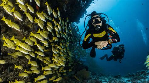 Best Scuba Diving Sites In Spain Spanish Fiestas