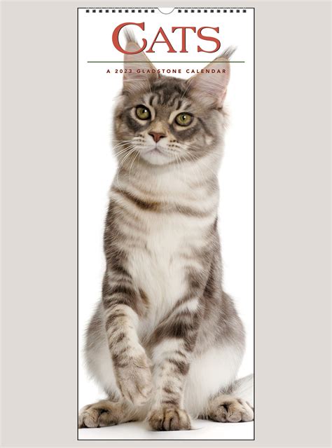 2023 Cats Vertical Wall Calendar Shop The Gladstone Media Official Store