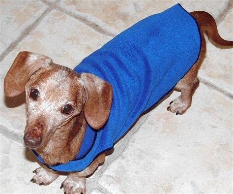 Cozy Fleece Dachshund Sweater Dachshund Sweater Dachshund Baby