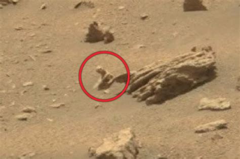 Aliens On Mars Tiny Reptile Found In Nasa Picture Of Red Planet Daily Star