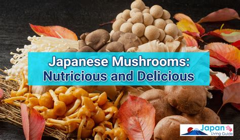 Japanese Mushrooms Nutritious And Delicious