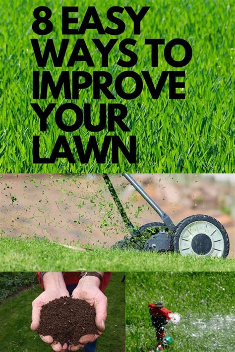 8 Easy Ways To Improve Your Lawn Clean Air Gardening