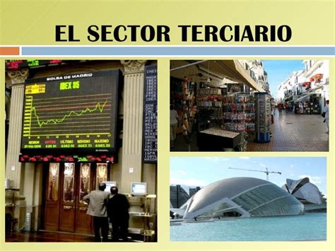 Imagen Del Sector Terciario Estudiar