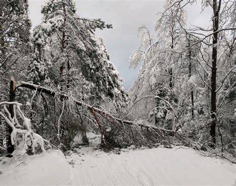 120 Miles Of Upper Peninsula Snowmobile Trails Damaged By Icy Storm
