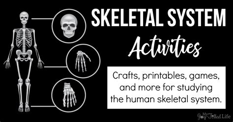 Activities For Learning About The Skeletal System My Joy Filled Life
