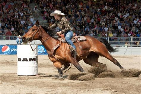 A public competition or exhibition in which skills such as riding broncos or. Cloverdale Rodeo kicks off this weekend - NEWS 1130