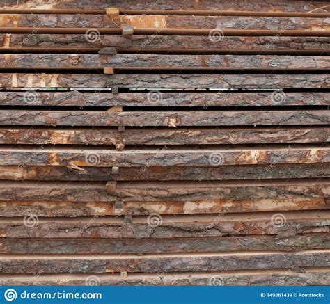 Wooden Planks Air Drying Timber Stack Stock Image Image Of Close