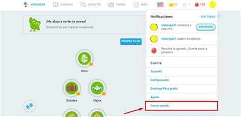 Me Ne Lasci Uno Duolingo - Comment me connecter ou me déconnecter de mon compte Duolingo? - Pas à