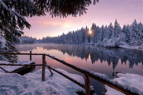 Winter Snow Trees Nature Outdoors Hd Nature 4k Wallpapers Images