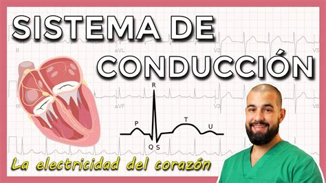 Sistema Eléctrico Del CorazÓn Youtube