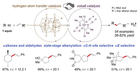 New Method For Late Stage Functionalization Of Carbon Hydrogen Bonds