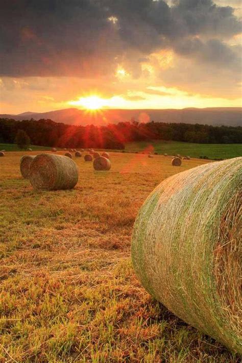 Beautiful country scene | ♛Things I love♛ | Pinterest