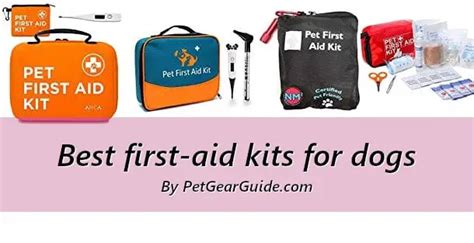 Top 10 Best Dog First Aid Kits For Home And Outdoors Updated 2021