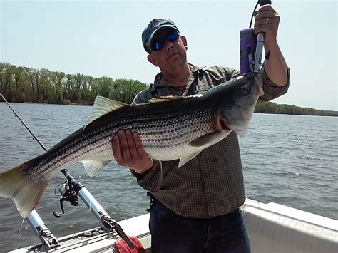 Hudson River Fishing Photo Gallery
