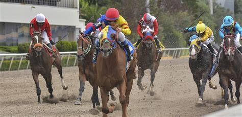 5 cosas que no sabías de las carreras de caballos en México - Martha ...