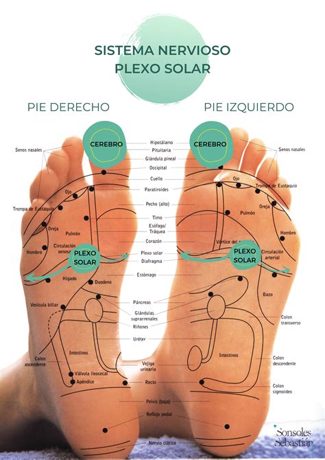 REFLEXOLOGÍA PUNTOS QUE CURAN Conozca Los Beneficios De Esta Terapia