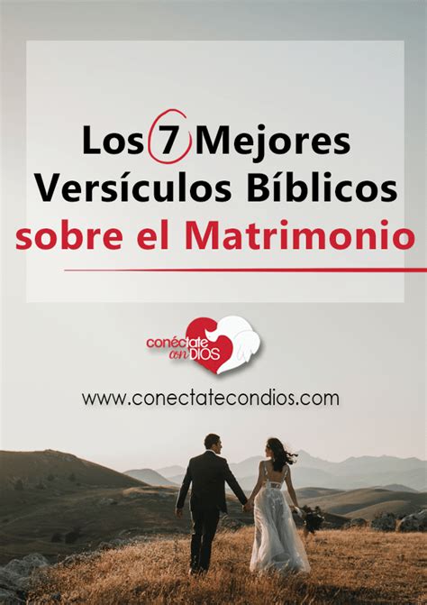 Los 7 Mejores Versículos Bíblicos Sobre El Matrimonio Conéctate Con Dios