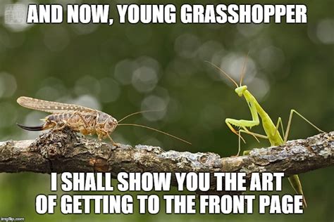 Grasshopper Must Train If He Ever Wants To Reach The Level Of Sensei