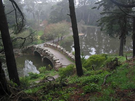 Golden gate park is everybody's park! Strawberry Hill | In Golden Gate Park, San Francisco | Rob ...