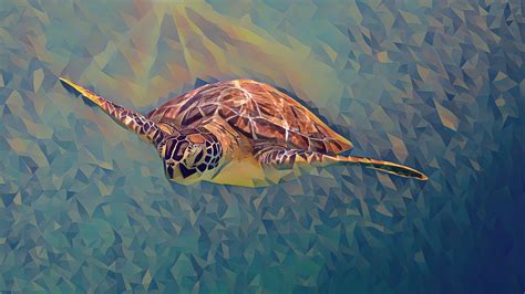 12 Sea Turtle Note Cards Sea Turtle Art Blank Note Card Thank You