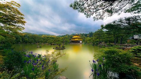 Nature Landscape Building Trees Asian Architecture Pagoda Water