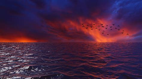 Wallpaper Waves Sky Birds Horizon Sunset Sea Clouds