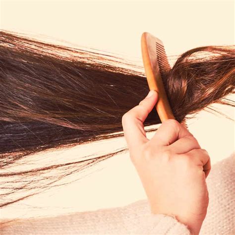 10 Top Shampoos For Tangled Hair Headcurve