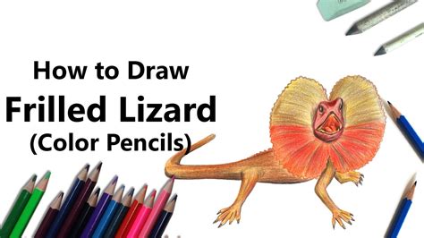 How To Draw A Frilled Lizard With Color Pencils Time Lapse Youtube